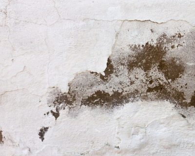 Top 7 Causes of Foundation Damage in Montreal Homes
